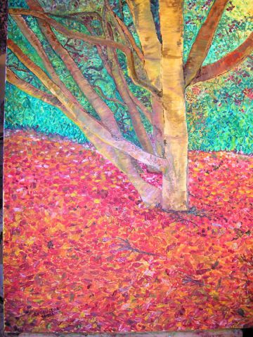 ARBRE D AUTOMNE FLAMBOYANT